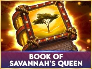Book Of Savannah's Queen game icon